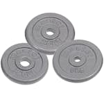 Viktskiva Master Fitness Skolvikt 26 mm